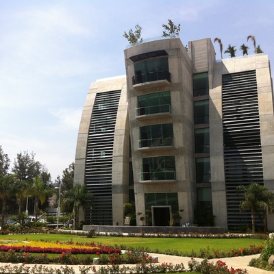 planta